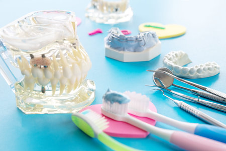 porsthodontic model and dentist tool - demonstration teeth model of varities of porsthodontic...