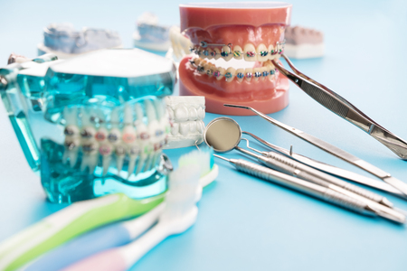 orthodontic model and dentist tool - demonstration teeth model of varities of orthodontic bracket or braceの写真素材