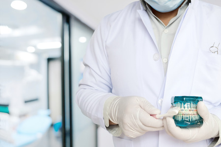 Dentist show orthodontic model and toothbrushes  in his hand / in office or clinic.の写真素材