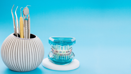 orthodontic model and dentist tool - demonstration teeth model of varities of orthodontic bracket or braceの写真素材