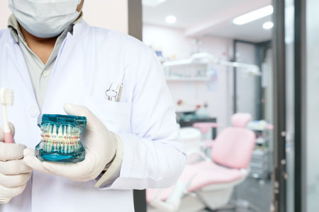 Dentist show orthodontic model and toothbrushes  in his hand, in office or clinic.