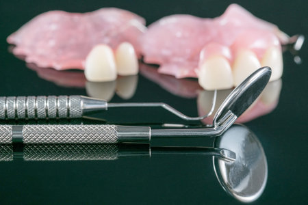 orthodontic model and dentist tool - demonstration teeth model of varities of orthodontic bracket or...