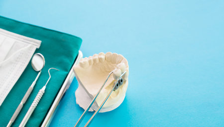 orthodontic model and dentist tool - demonstration teeth model of varities of orthodontic bracket or...