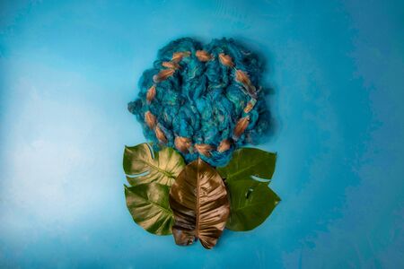 Beautiful Newborn Backdrop Photographyの写真素材