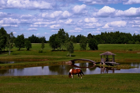 Lithuania. Summer in the countryside.の写真素材