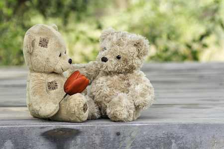 Teddy bear couple sitting on the wooden floor.の写真素材