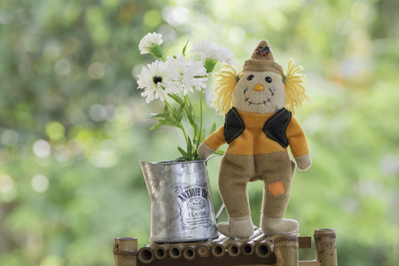 soft toy and Vase of Flowers on Blurred Backgroundの写真素材