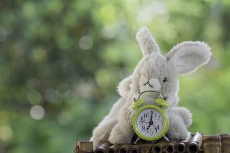 stuffed animal Rabbit toy and green alarm clock on Blurred Backgroundの写真素材