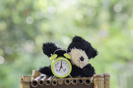 stuffed animal dog  toy and green alarm clock on Blurred Backgroundの写真素材