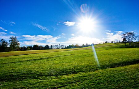 blue sky with clouds and treesの写真素材