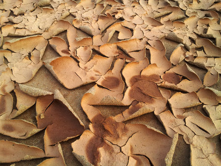 abstract texture for background with cracks and  a peel of sandy soil