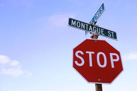 Red stop sign on the corner  in residential area, with copy space for your text or images.の写真素材