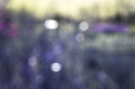 bokeh abstract purple blurred backgroundの写真素材
