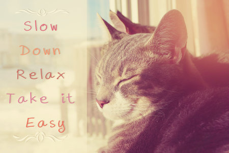 Slow Down, Relax, Take it Easy