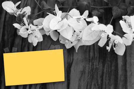 flowers in black and white on old wooden background with copy space