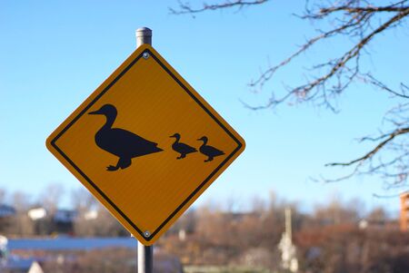 Duck Crossing Warning Road Signの写真素材