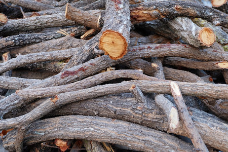 wood logs texture background