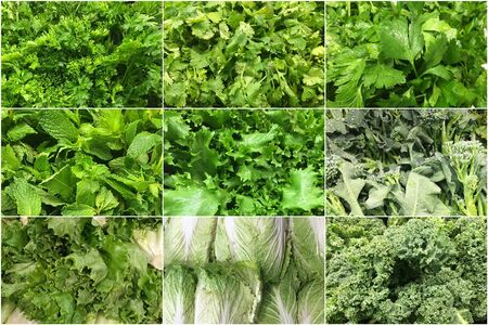 collage of green vegetables backgroundの写真素材