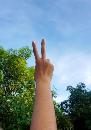 One hand making a peace sign against blue sky and treeの写真素材