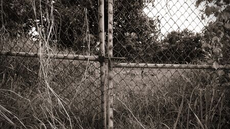 old metal fence in sepia styleの写真素材