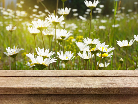 old wood table top on beautiful nature backgroundの写真素材