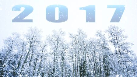 word 2017 on winter backgroundの写真素材