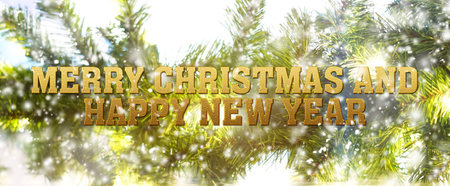 blurred of christmas background with fir tree and snow effect with words Merry Christmas and Happy...