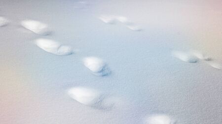 Footprints in snow winter season pastel gradient overlayの写真素材