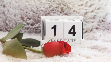 February 14 on wooden cube calendar, red rose on blur fur backgroundの写真素材