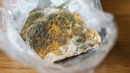 green, orange and white spores moldy bread in plastic bag on wooden tableの写真素材