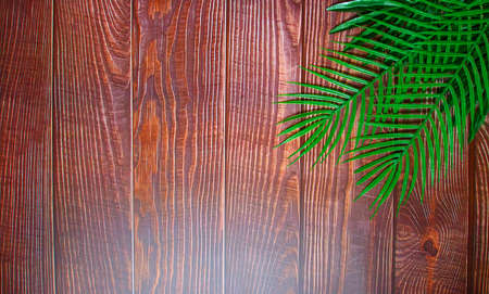 The vertically spaced brown plank background has a distinct wood grain pattern and fern leaves in the upper right corner of the image. Leave a blank space in the middle of the image to insert text or logo.の写真素材