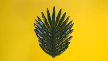 Plastic fake palm leaves placed in center of photo on yellow paper background, minimalist concept.の写真素材