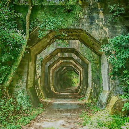 Forest stone tunnelの写真素材