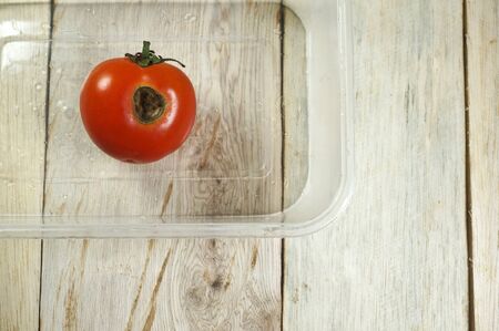 Organic Red tomato eaten by caterpillars on wooden tableの写真素材