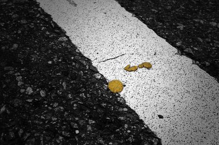 Yellow paint on white solid line road marking background and abstract.の写真素材