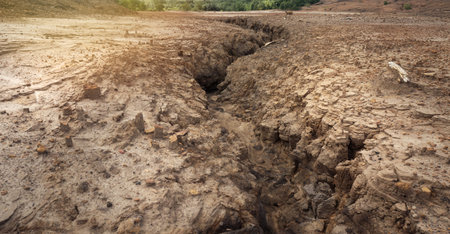 Land with dry and cracked ground.