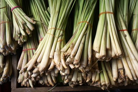 Fresh lemongrass sell in traditional market indonesia.の写真素材