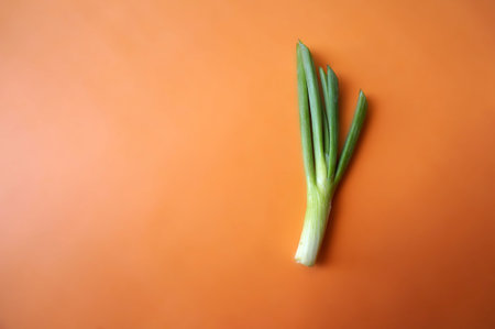Leeks vegetable closeup isolated on orange backgroundの写真素材