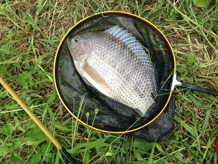 Fishingの写真素材