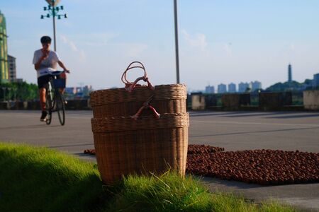 Sceneryの写真素材