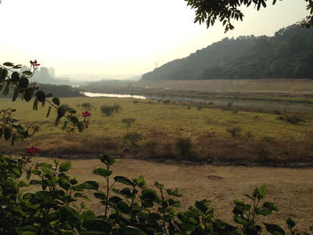 Nature viewの写真素材