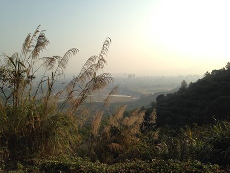 Nature viewの写真素材