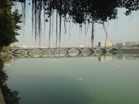 Nature viewの写真素材