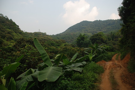 Mountainの写真素材