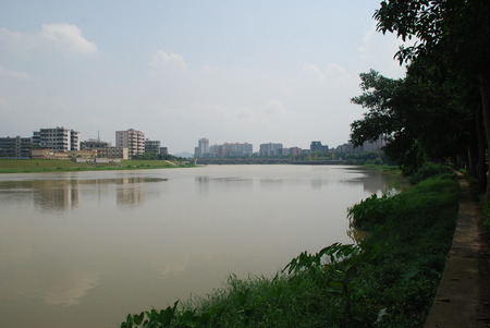 Nature viewの写真素材