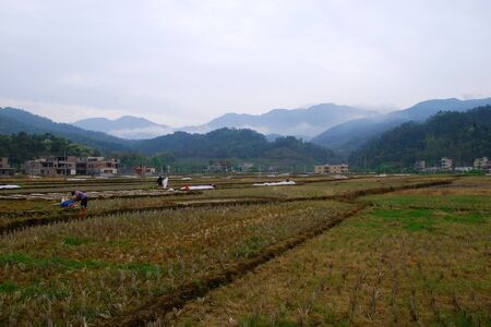 Countrysideの写真素材
