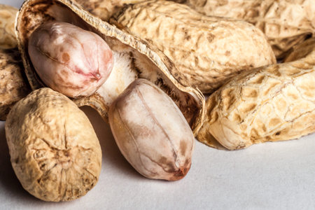 A closeup of an opened groundnut reviewing the inside
