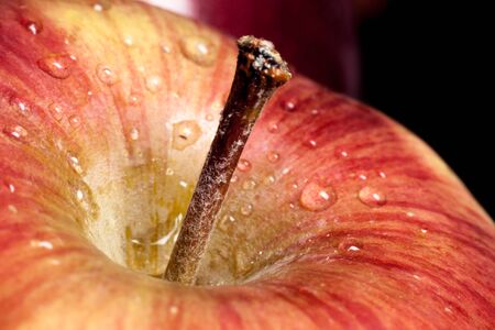 Close up of apple after being washed.の写真素材