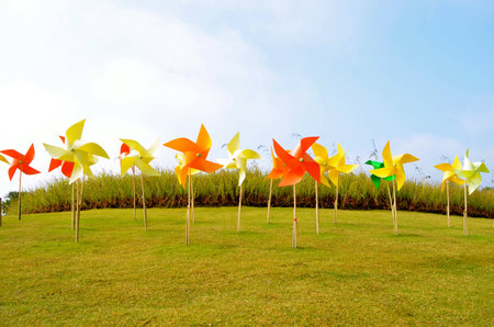 spinning pinwheelの写真素材