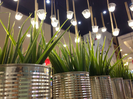 Decorated room with fake grassの素材